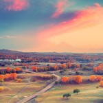 wallpaper-2458854